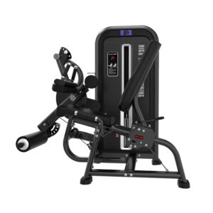 TY25 | SEATED LEG CURL/EXTENSION